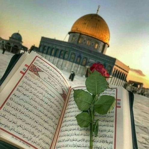 Tefsir Hazırlığı